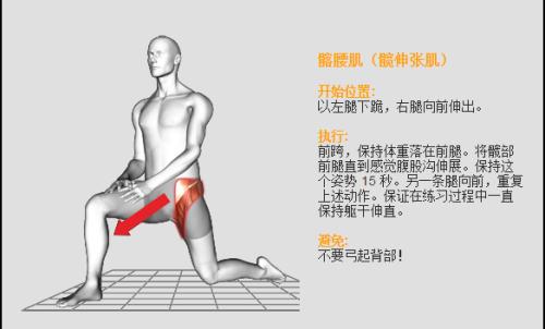 髋关节灵活度差深蹲蹲不下去,髋关节导致蹲不下去