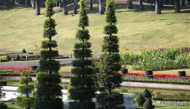 亚洲土豪文莱经济到底多发达,一块钱就能看所有的病?