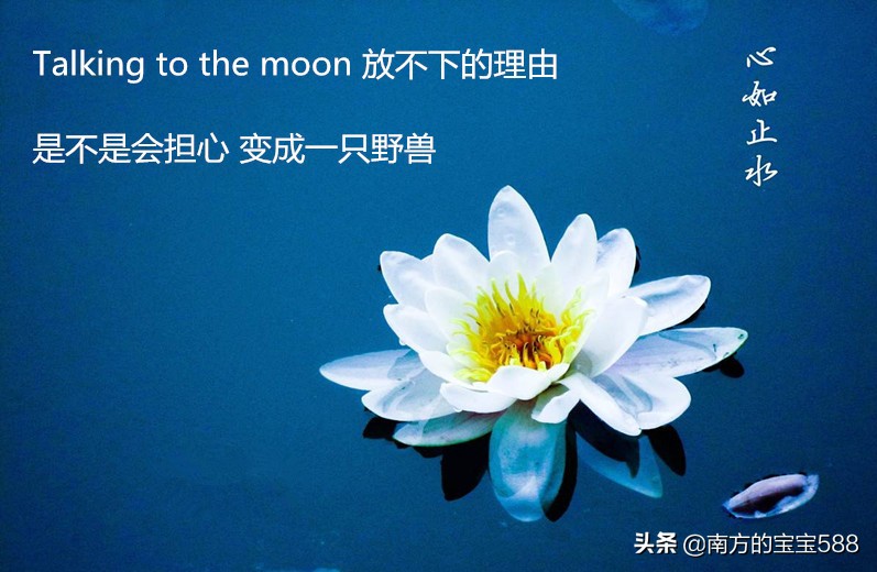 2019年抖音最火歌曲排行前十名,2019年抖音最火歌曲古风