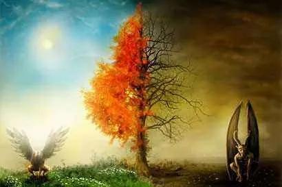 什么是期货怎么学习期货,什么是期货呢简单通俗