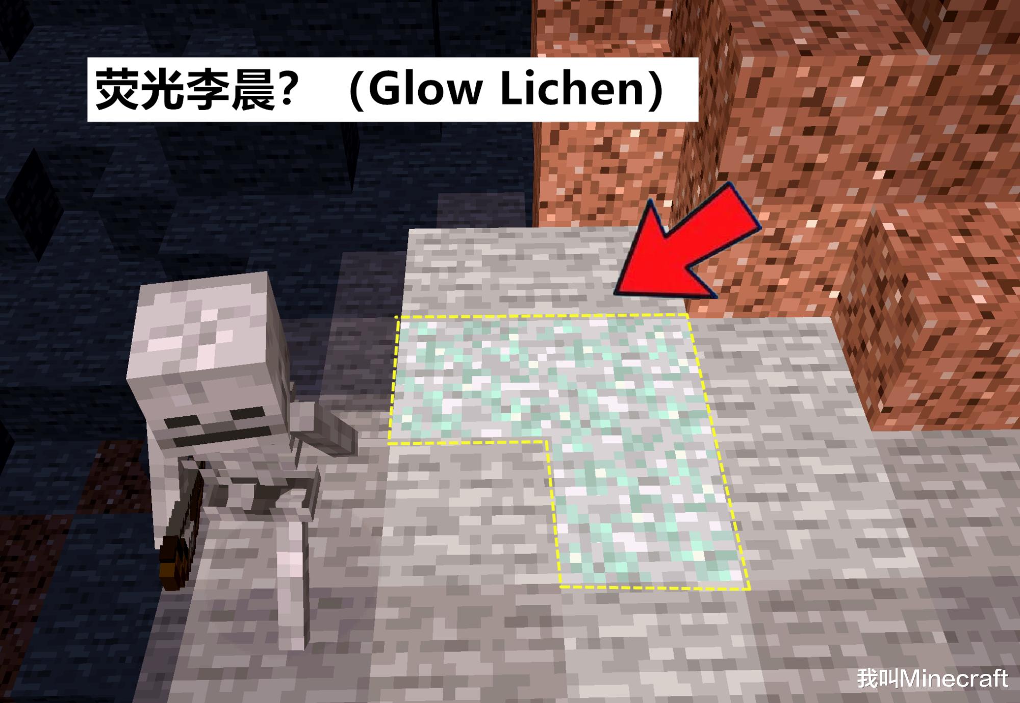 1.17版本我的世界新品种发光鱿鱼,我的世界发光鱿鱼介绍