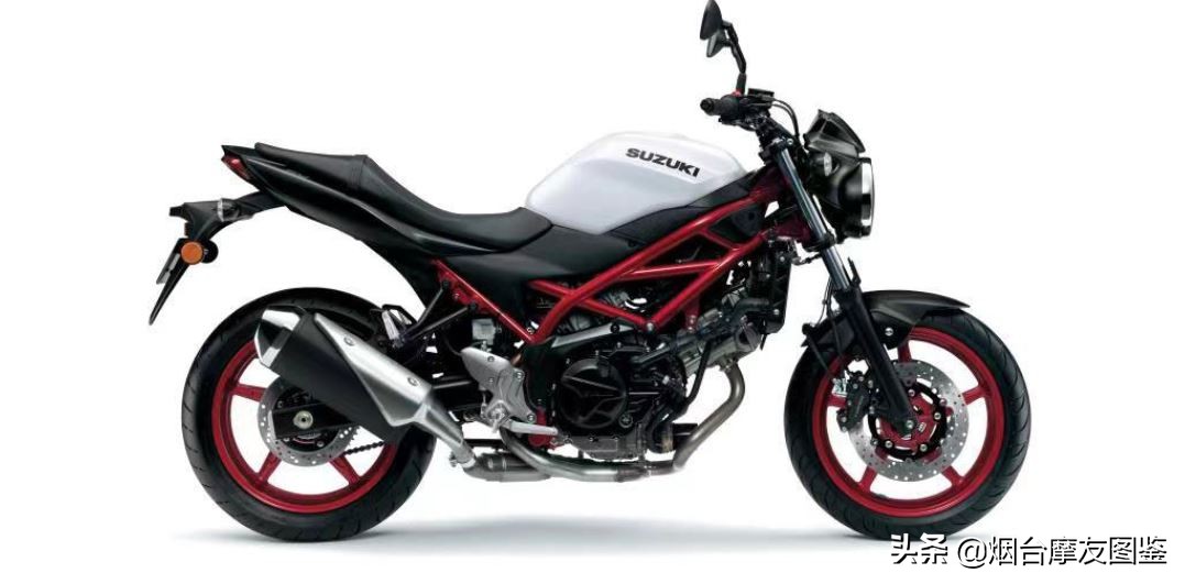 好久不见，铃木摩托国内发布V型双缸运动街车SV650/X