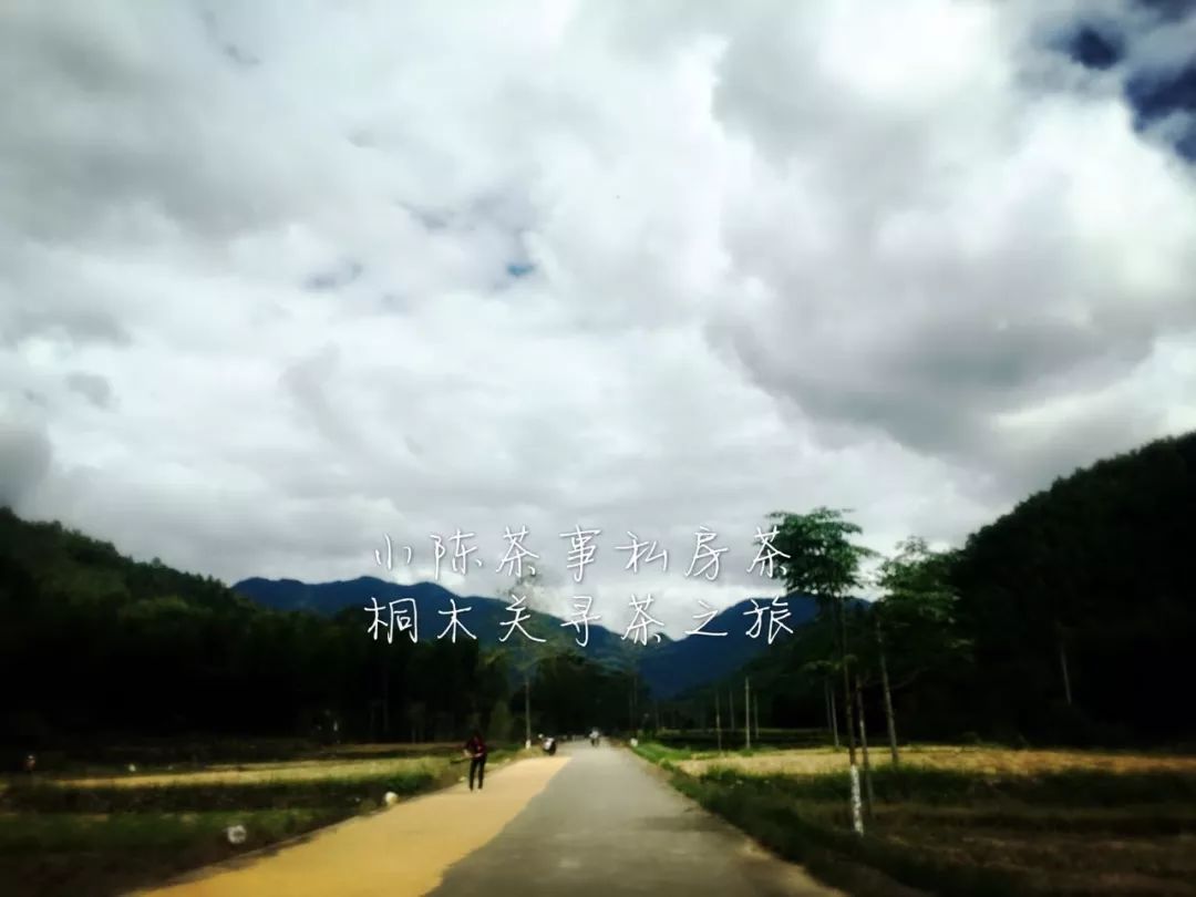 几年的红茶还能喝吗,20多年的红茶还能喝吗