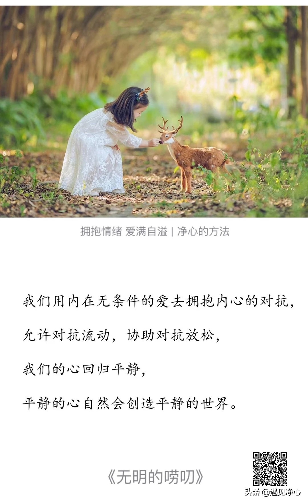 父亲的病个人感悟50字,父亲的病主要内容和感悟