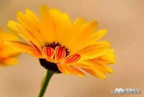 《家庭兴旺歌》《和谐歌》《夫妻歌》太绝了!句句精辟