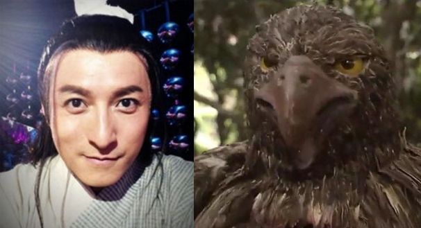 鹰钩鼻很丑吗,鹰钩鼻丑陋