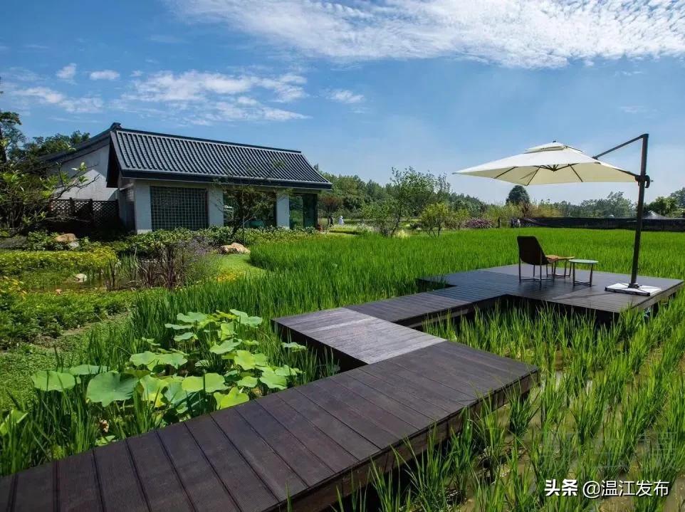 成都温江特色旅游,新旅游潮成都主题旅游目的地