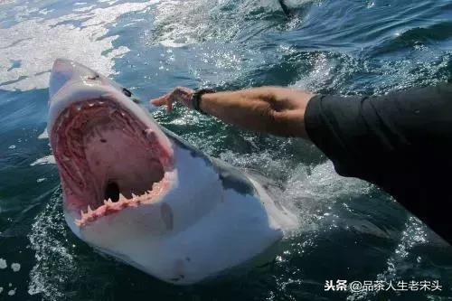 最新世界十大“怪”,最后一个太绝了!