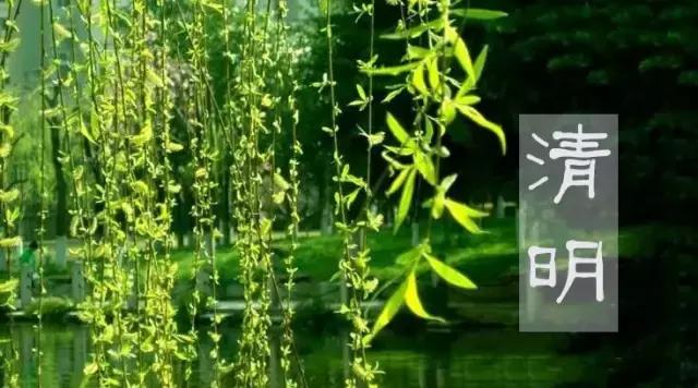 关于清明的诗歌童谣,清明节的童谣简单的歌