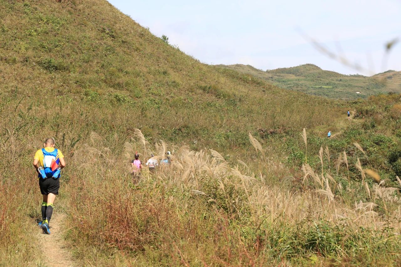 岔气坚持跑步后果,跑步不岔气一跳就岔气