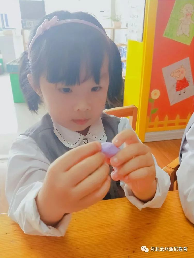 身体大揭秘动画,身体大揭秘