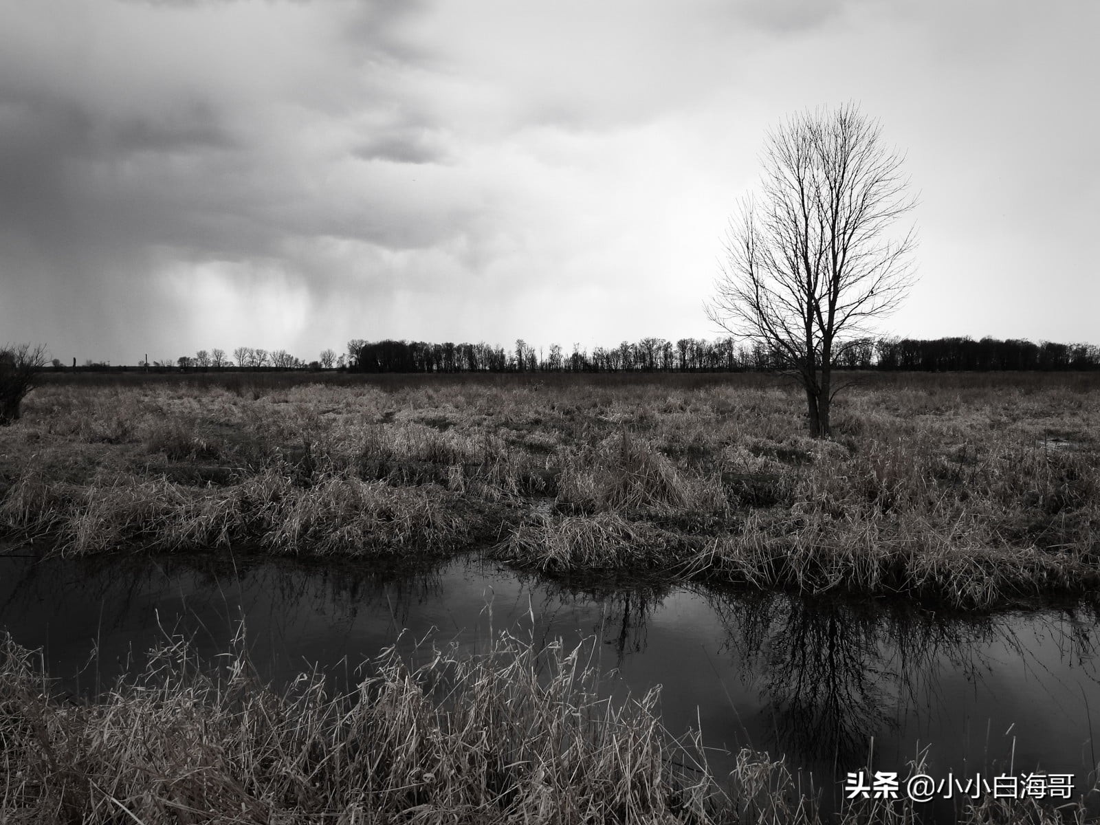 尼康24-3000mm超长焦镜头,尼康p950变焦镜头