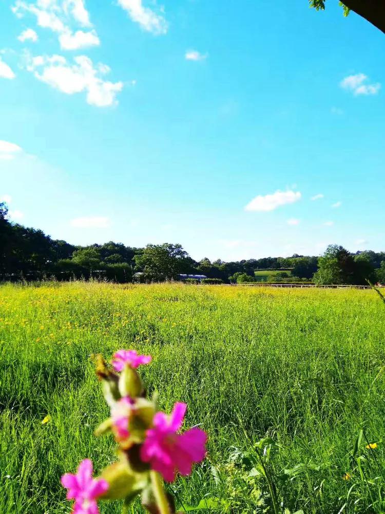 伦敦六月小说,六月的伦敦什么季节