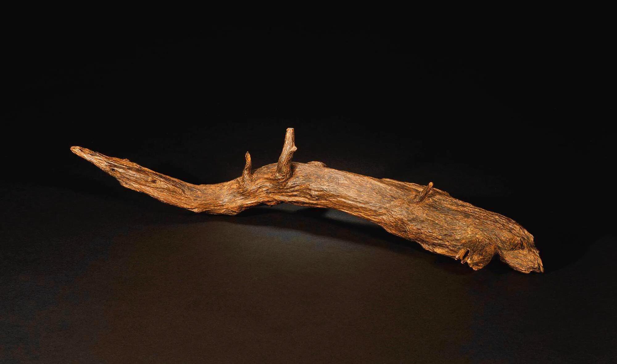 印度沉香品种,印度产沉香吗