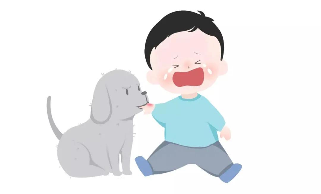 被宠物咬了要不要打狂犬疫苗,小孩被宠物仓鼠咬出血怎么办