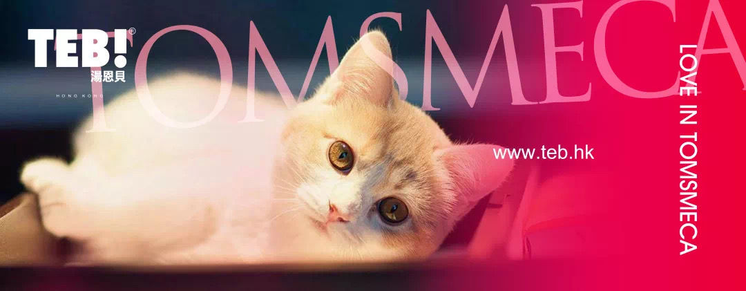 猫奴十三介绍猫粮,猫奴无谷猫粮