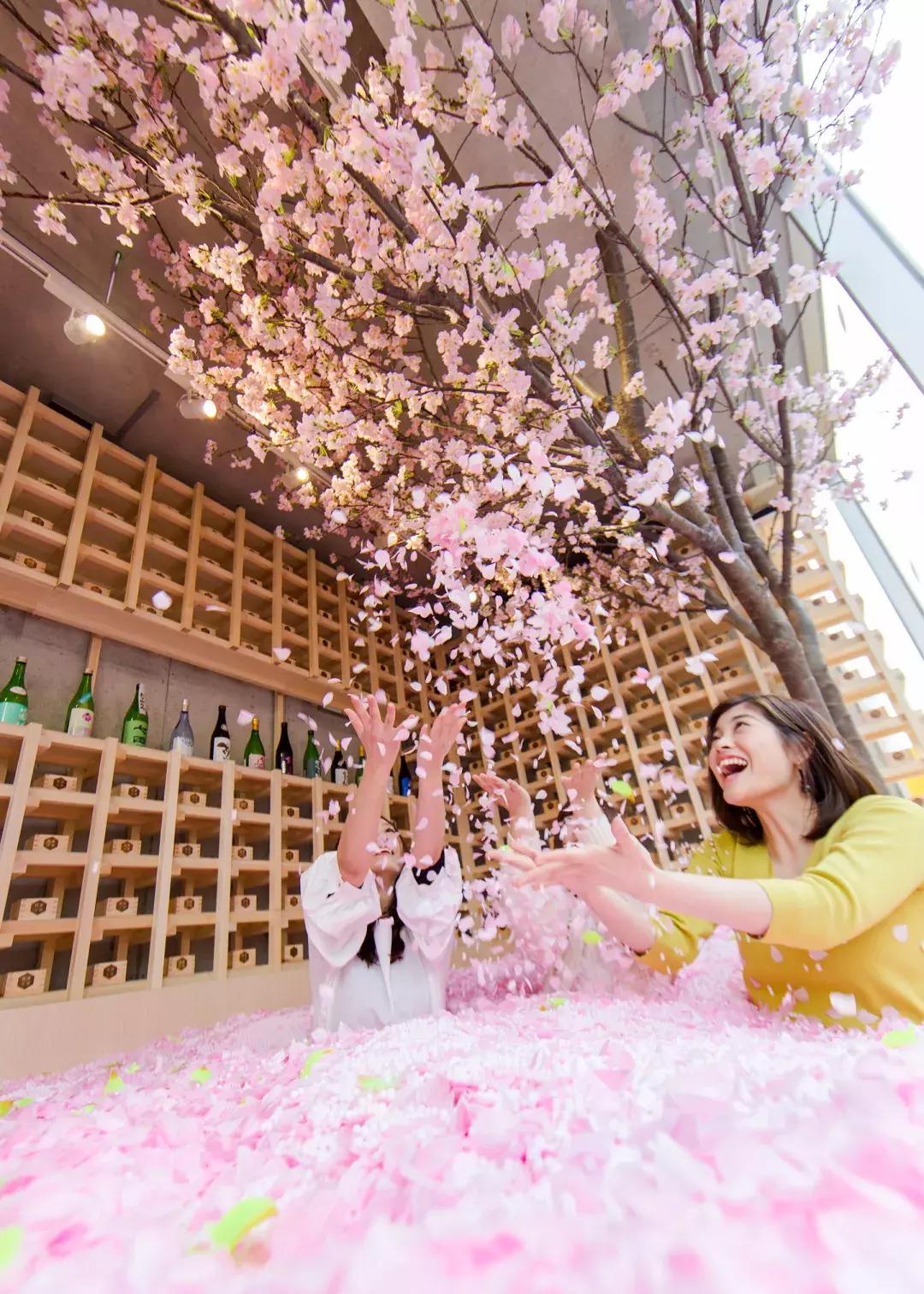 日本花粉症对策 (如何有效预防日本花粉症)