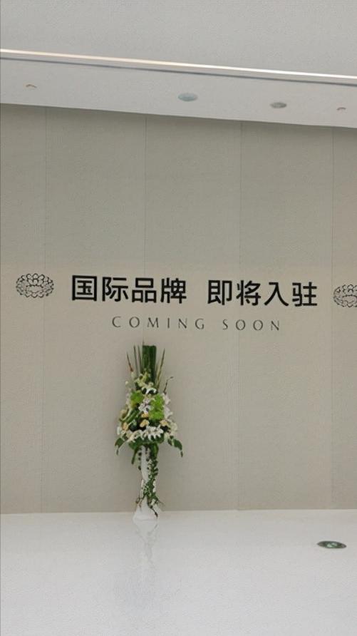 武汉万达广场楚河汉街开了吗,武汉万达楚河汉街当年宣传