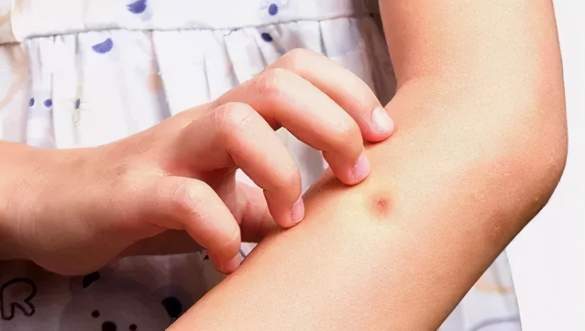 天然染色剂衣服,天然蓝染系列介绍