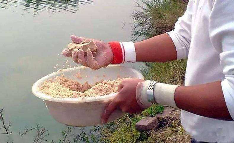 如何打窝现打现钓,打窝钓法