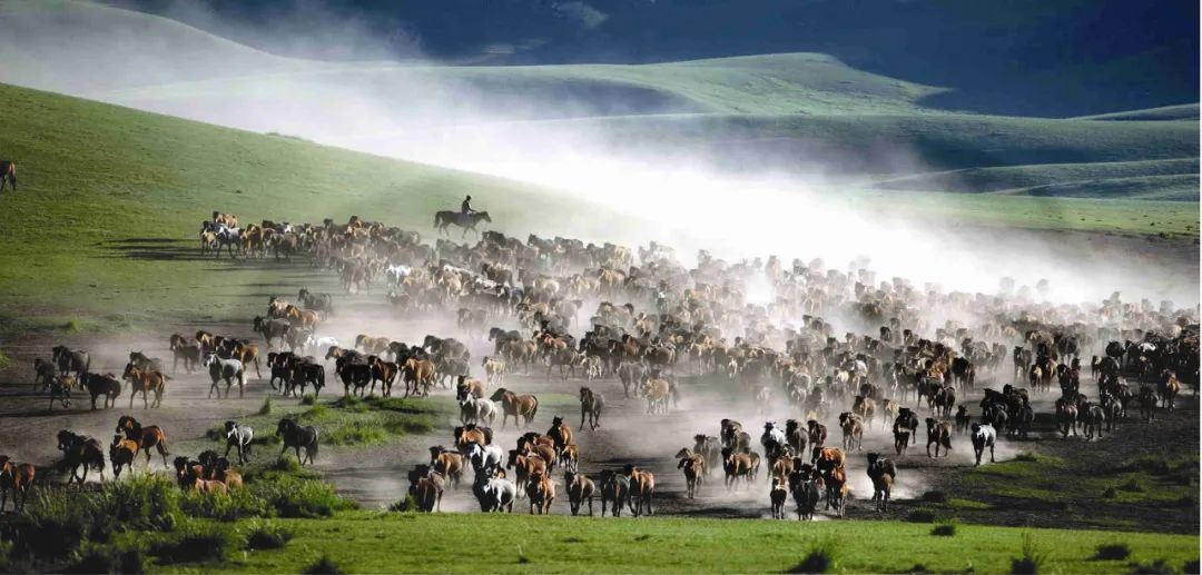 太仆寺街西单和中南海之间的皇家御马苑