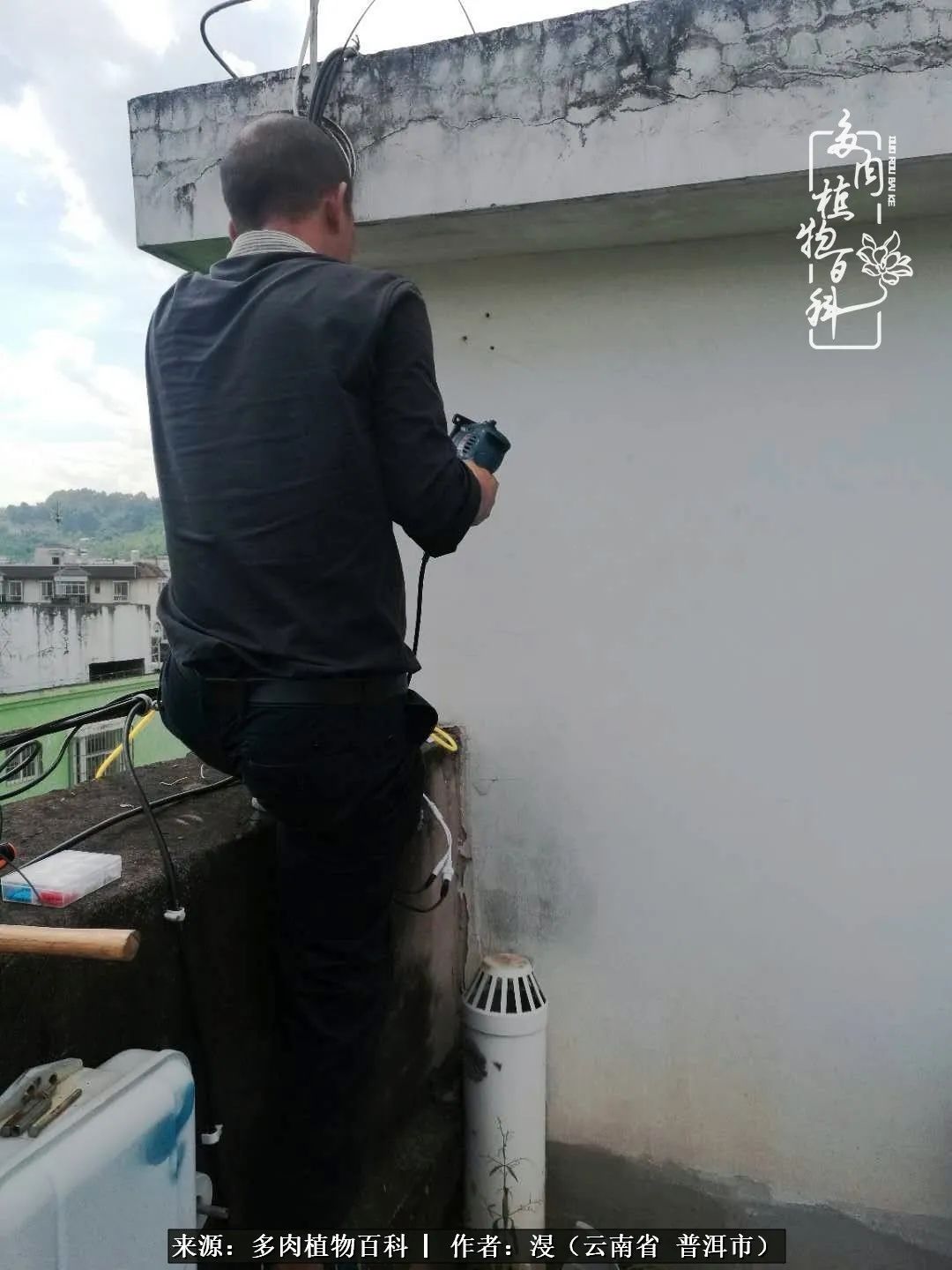 风过留痕讲的啥,风过留痕朗诵