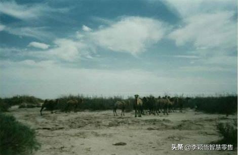 商业模式重要还是产品重要,商业模式属于管理还是营销