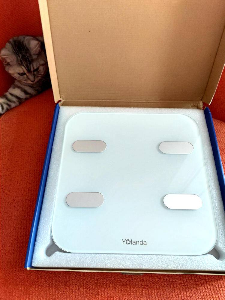 云康宝体脂秤蓝牙和wifi区别,云康宝和华为八电极体脂秤评测