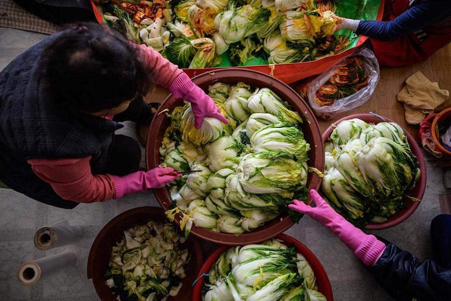 韩国的“钻石白菜价”令人望而却步，多重因素下的农业危机