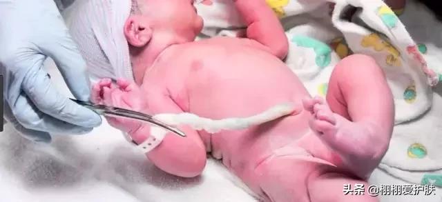 日本脐带血精华推荐,日本脐带血精华是什么