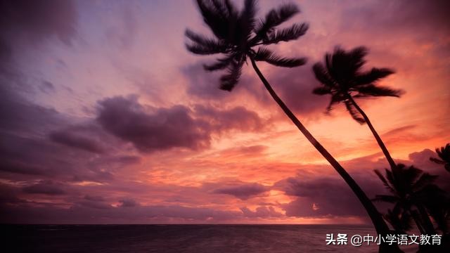 语文基础知识容易错的字形,中考语文易读错字音