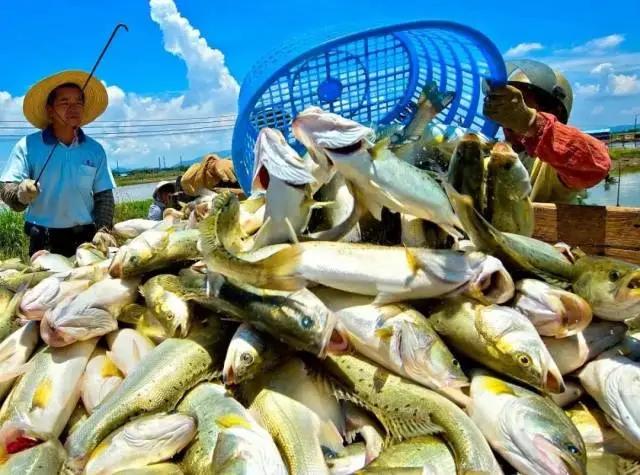 你好,我叫珠海,请收下我2021版新名片,带你了解新的珠海!