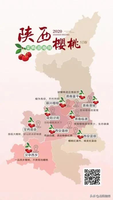 泾阳大樱桃,吃樱桃需要注意哪些事项