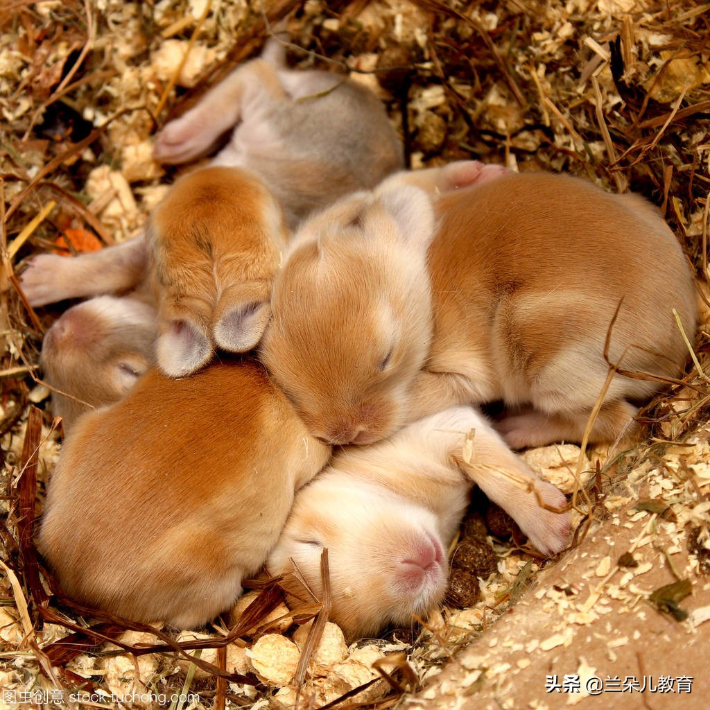 如何对小孩进行性教育,如何对幼儿进行合理的性教育