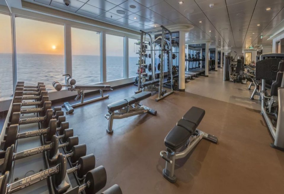 世界梦号内部游览过程 (探索梦号邮轮参观攻略)