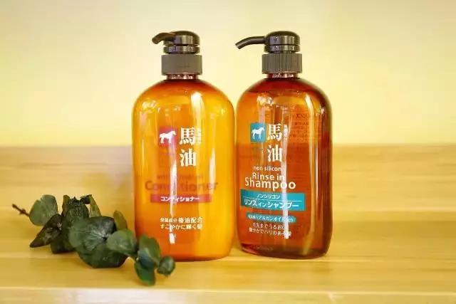 日本进口龙猫主题店,日本龙猫主题店