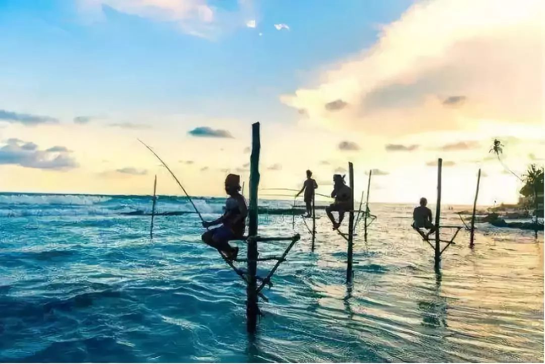 护照免签落地签国家和地区一览表,对国内普通护照免签落地签的国家