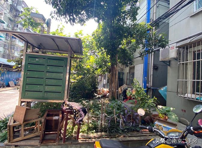 鼓楼学区房最新房价走势,鼓楼学区房最新房价