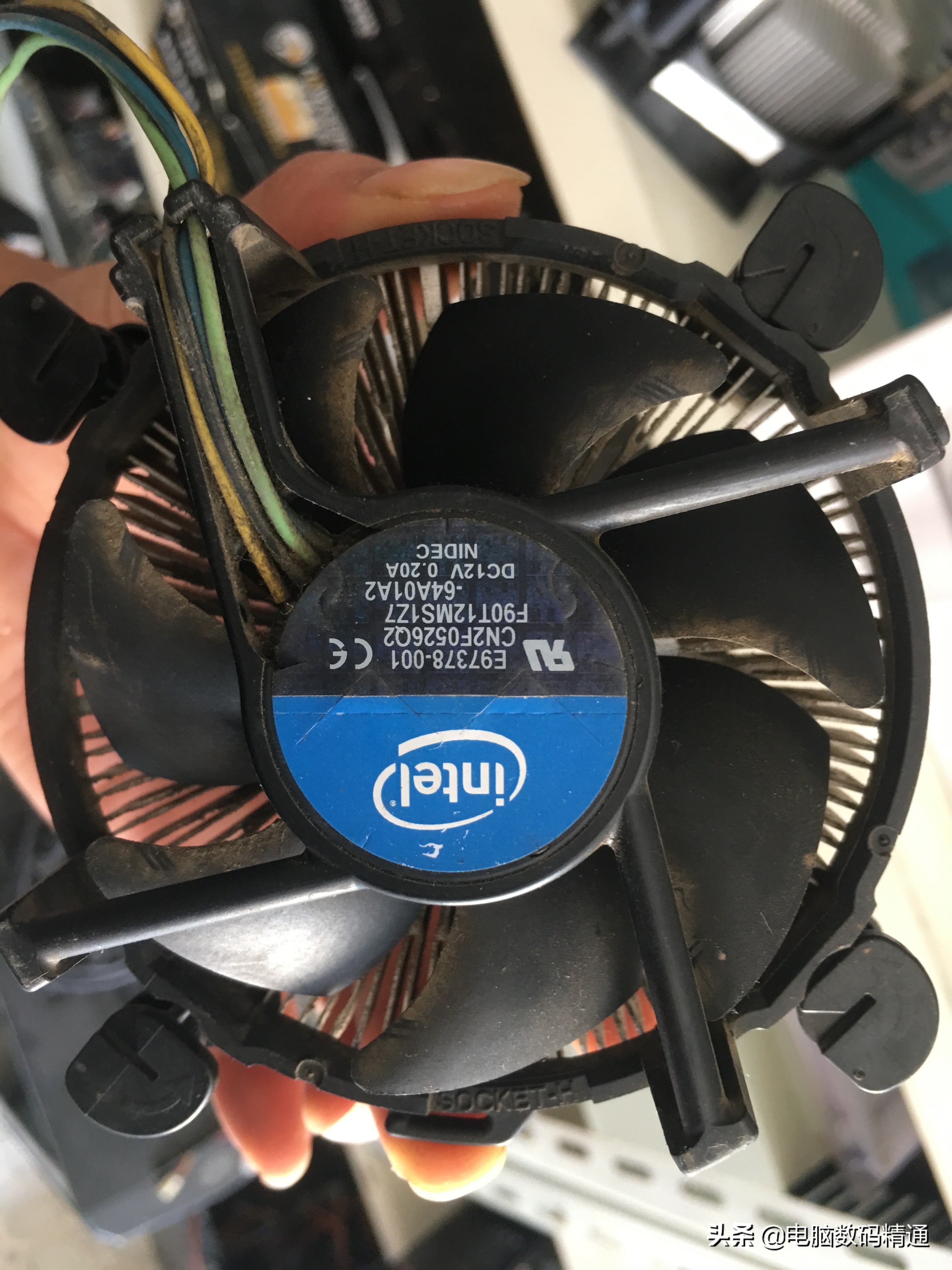 电脑显卡什么情况会自己烧,独立显卡烧了的影响