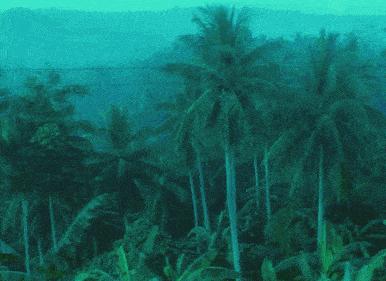 香港前世今生的真实故事,香港电影前世造的孽今世遭报应