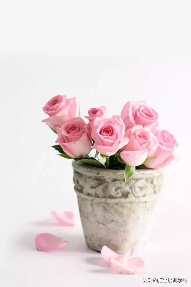 插花的基本步骤视频,插花的具体流程图片
