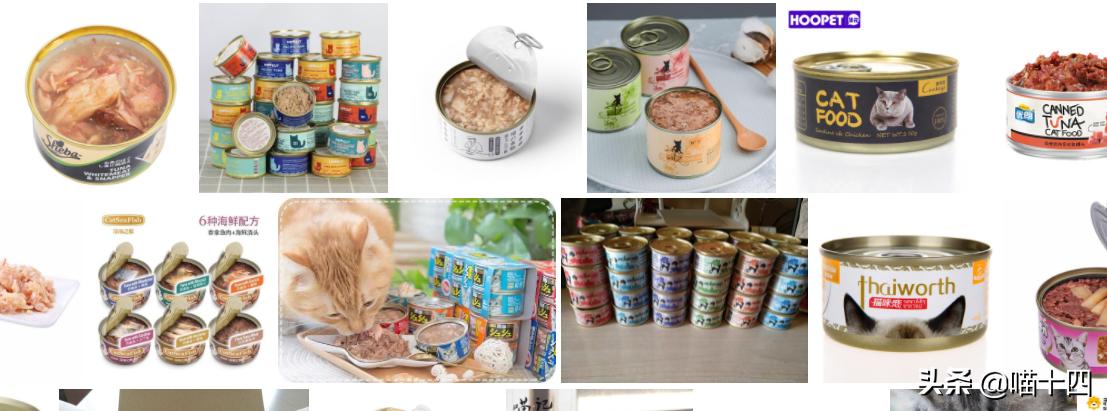 39天小猫软便,老是软便