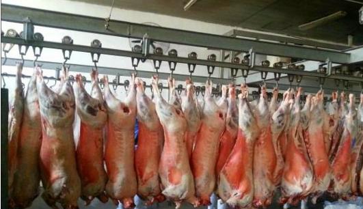 科技兴农打造“麻黄梁羊肉”地标产品