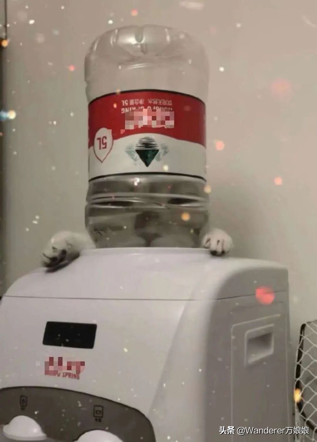 哈哈哈哈哈哈我笑到我妈把鞋塞我嘴里