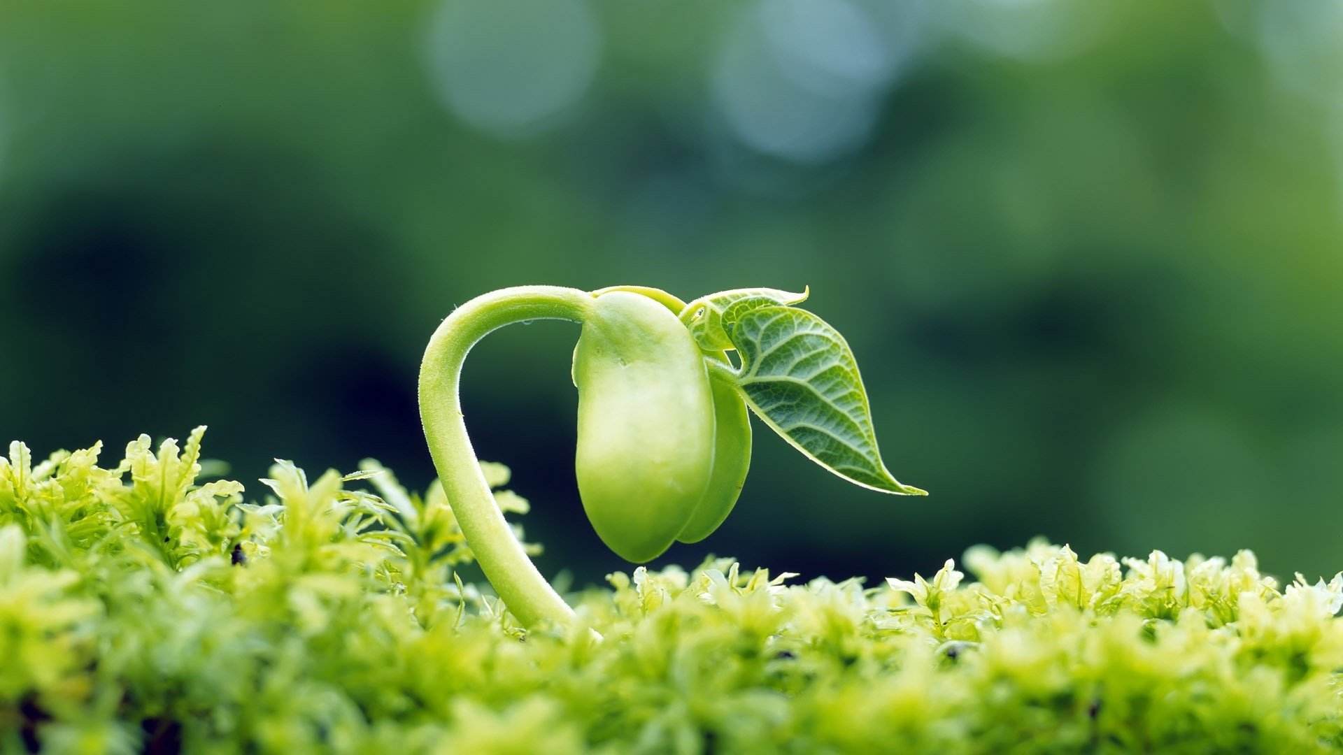 硅谷禁书吸引力法则,硅谷禁书和吸引力法则