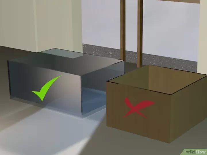 怎么养蜗牛宠物,怎么养野生蜗牛做宠物