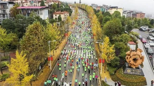 重庆铁山坪森林康养基地,重庆避暑康养基地