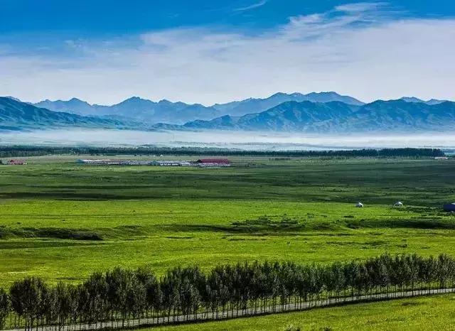 这就是昭苏,万物复苏的地方