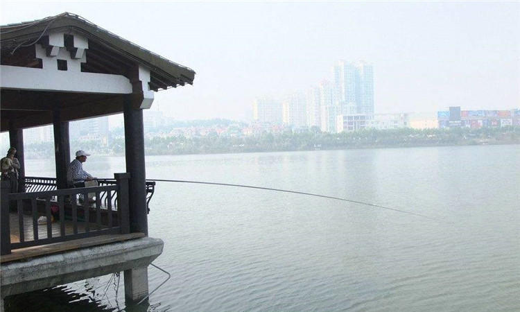 鱼护怎么防止老化,好一点的鱼护有必要吗