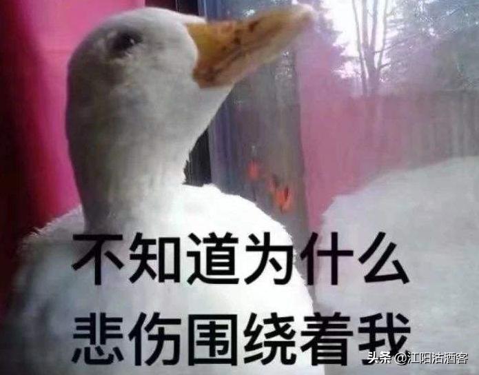 在泸州你知道什么是“軃神”，一句方言可追溯千年